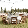Pemberly Row 2-Pack Indoor/Outdoor Resin Folding Event Chair in Chestnut