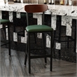 Pemberly Row Metal Barstool with Seat and Wood Boomerang Back in Green/Walnut