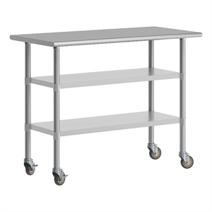 Pemberly Row 24x48 Stainless Steel Work Table with Dual Undershelves and Casters