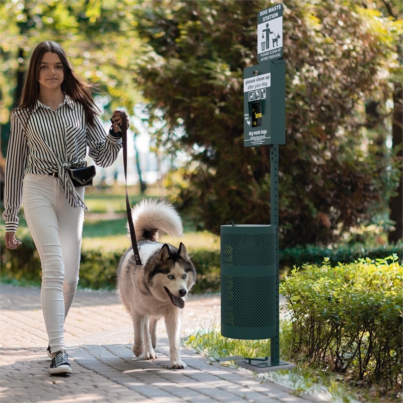 Pemberly Row Pet Waste Station with Header Dispenser and Pedal Trash Can