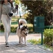 Pemberly Row Compact Pet Waste Station with Trash Can and Roll Bag Dispenser