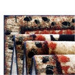 Pemberly Row Wandering Bear and Cub Rustic 3' x 10' Area Rug in Brown