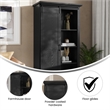 Pemberly Row Farmhouse Storage Cabinet with Shelves & Sliding Barn Door in Black