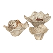 Pemberly Row Bleached Tamarind Wood Wall Decor in Brown (Set of 3)