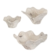 Pemberly Row Bleached Tamarind Wood Wall Decor in Brown (Set of 3)