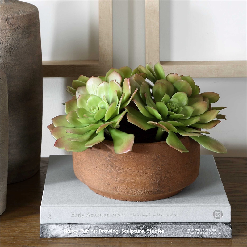 Pemberly Row Echeveria Succulent Accent in Natural Terracotta Brown Pot