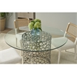Pemberly Row Coral 60