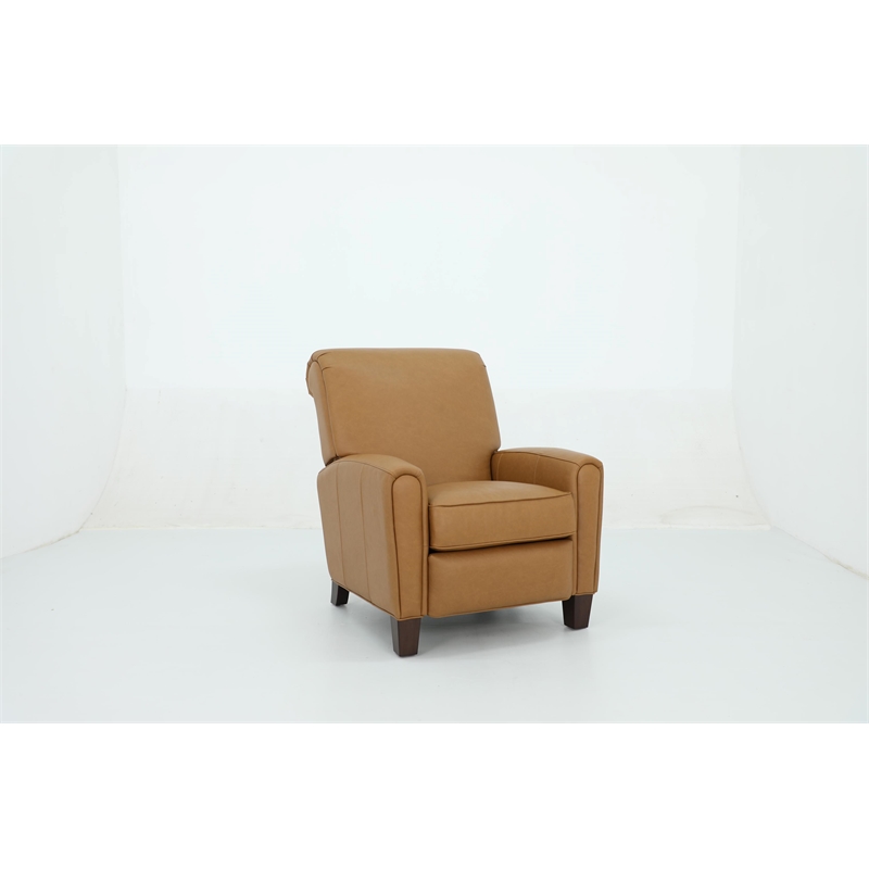 Pemberly Row Premium Push Thru The Arms Recliner in Santa Fe Brandy
