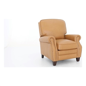 Pemberly Row Premium Push Thru The Arms Recliner in Santa Fe Brandy