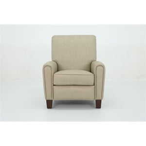 Pemberly Row Premium Push Thru The Arms Recliner in Cashmere Stone