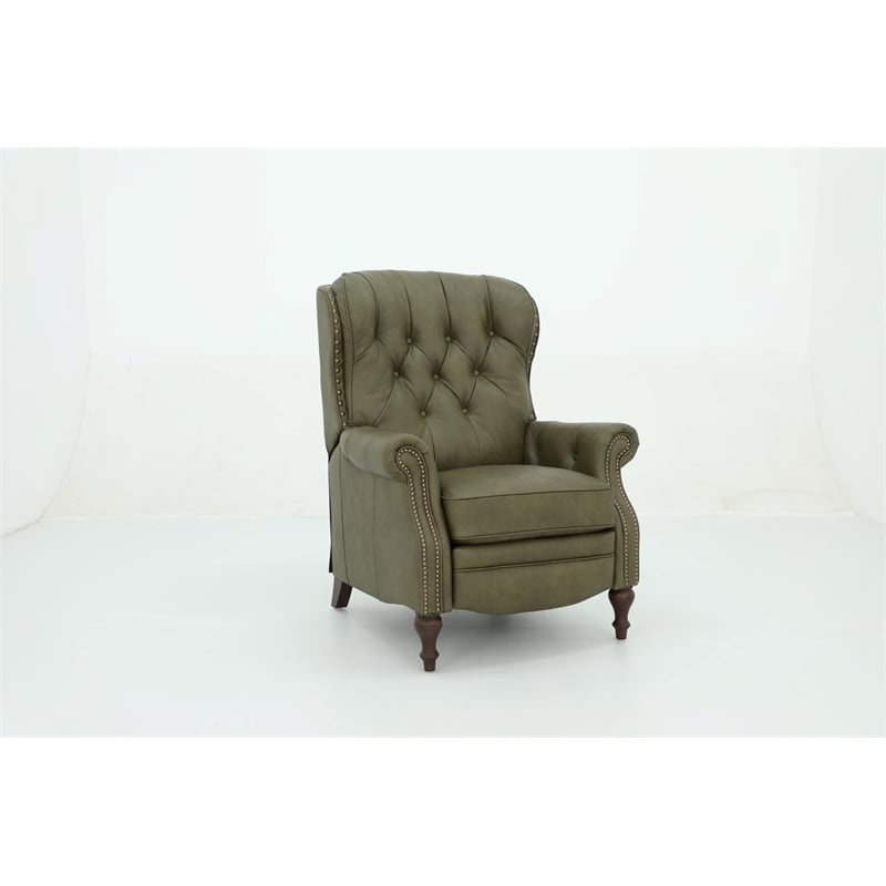 Pemberly Row Premium Push Thru The Arms Recliner in Oasis Olive