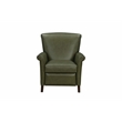 Pemberly Row Premium Push Thru The Arms Recliner in Dobbs Sage