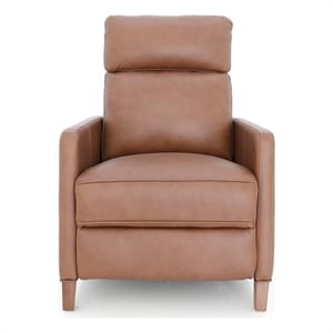 Pemberly Row Premium Zero Gravity Power Recliner in Dobbs Saddle
