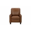 Pemberly Row Premium Push Thru The Arms Recliner in Oregon Oak