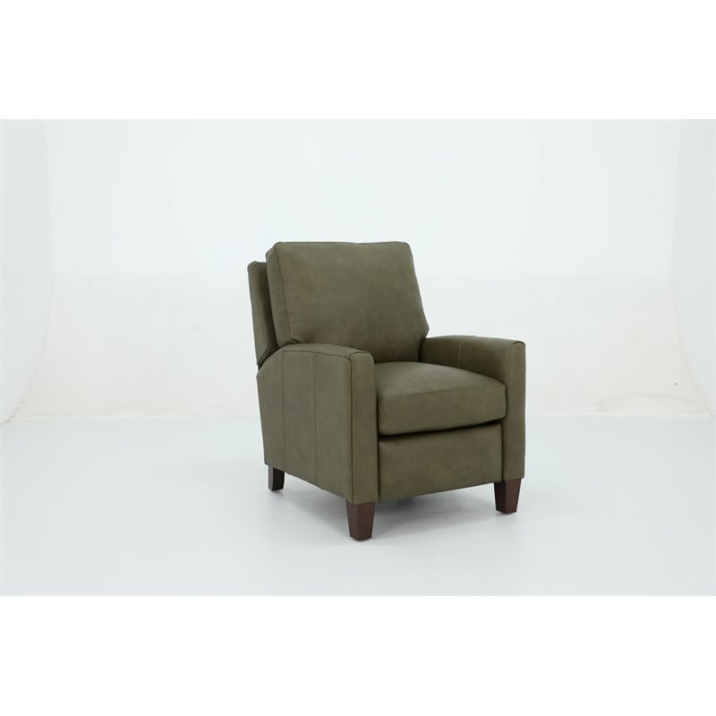 Pemberly Row Premium Push Thru The Arms Recliner in Oasis Olive