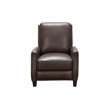 Pemberly Row Premium Push Thru The Arms Recliner in Ashford Walnut