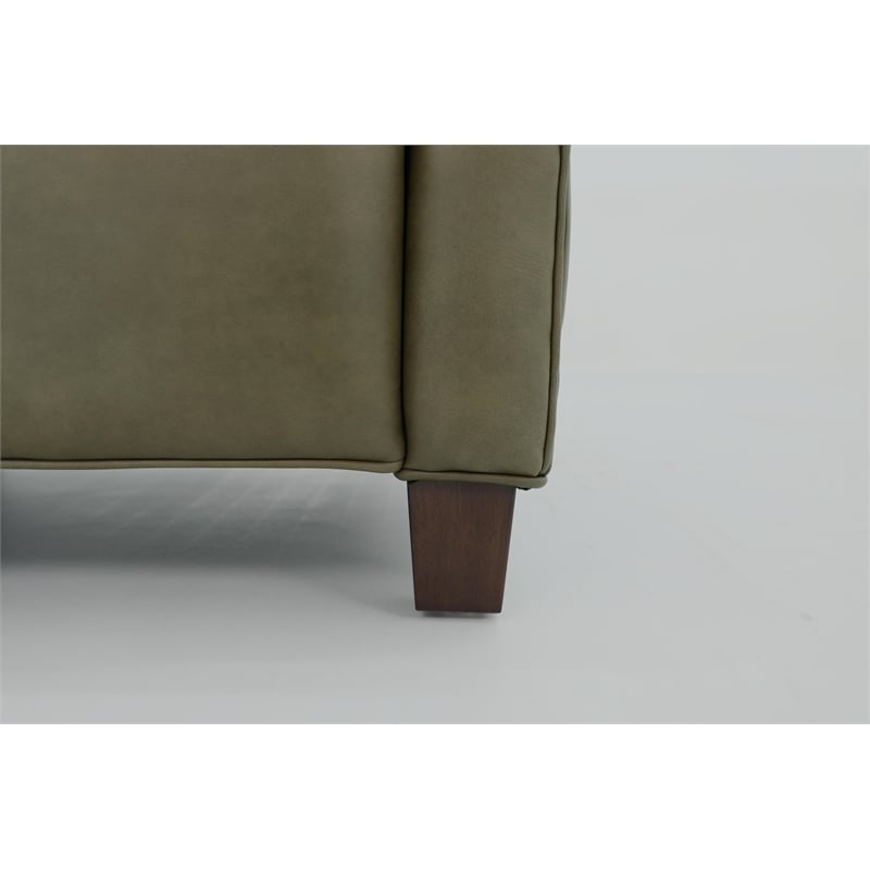 Pemberly Row Premium Push Thru The Arms Recliner in Oasis Olive