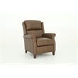 Pemberly Row Premium Push Thru The Arms Recliner in Oasis Walnut