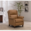 Pemberly Row Premium Push Thru The Arms Recliner in Elwood Cider