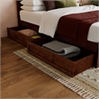 Pemberly Row Twin XL Platform Bed with Footboard and Drawers in Walnut