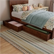 Pemberly Row Twin Platform Bed with Footboard and Drawers in Walnut