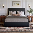 Pemberly Row Queen Platform Bed with Footboard and Drawers in Black