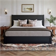 Pemberly Row King Platform Bed with Footboard and Drawers in Black