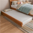 Pemberly Row Twin Platform Bed with Footboard and Twin Trundle in Light Toffee