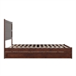 Pemberly Row Queen Platform Bed with Footboard and Twin XL Trundle in Walnut