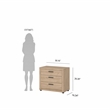 Pemberly Row Jackson Hickory 3-Pc Bedroom Set with Chest & Nightstand Set of 2