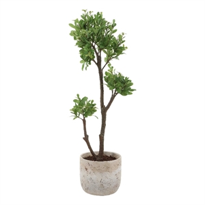 Pemberly Row Lifelike Potted Tree in Beige Decorative Natural Planter