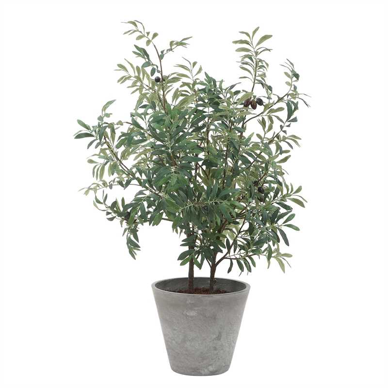 Pemberly Row Lifelike Potted Olive Plant with Fruit in Gray Planter