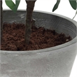 Pemberly Row Lifelike Potted Olive Plant with Fruit in Gray Planter