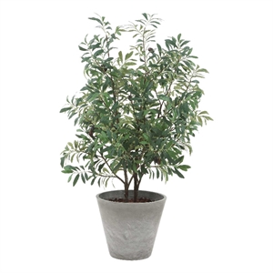 Pemberly Row Lifelike Potted Olive Plant with Fruit in Gray Planter