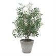 Pemberly Row Lifelike Potted Olive Plant with Fruit in Gray Planter