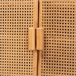 Pemberly Row Light Honey Rattan 2-Door Storage Cabinet with 3 Shelves