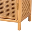 Pemberly Row Light Honey Rattan 2-Door Storage Cabinet with 3 Shelves