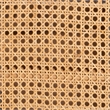 Pemberly Row Light Honey Rattan 2-Door Storage Cabinet with 3 Shelves