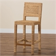 Pemberly Row Natural Seagrass and Mahogany Wood Counter Stool