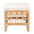 Pemberly Row Contemporary Rattan Footstool with Cushion in Natural Brown
