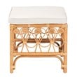 Pemberly Row Contemporary Rattan Footstool with Cushion in Natural Brown