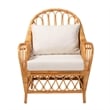 Pemberly Row Light Honey Rattan Arm Chair with Removable Cushions