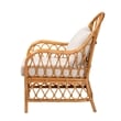 Pemberly Row Light Honey Rattan Arm Chair with Removable Cushions