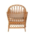 Pemberly Row Light Honey Rattan Arm Chair with Removable Cushions