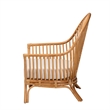 Pemberly Row Light Honey Rattan Arm Chair with Chevron Design
