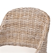 Pemberly Row Gray Kubu Rattan and Mahogany Wood Dining Chair with Cushion
