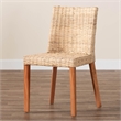 Pemberly Row Light Honey Kubu Rattan and Mahogany Wood Wingback Dining Chair