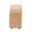 Pemberly Row Natural Rattan 3-Door Storage Cabinet with Wood Handles