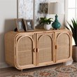 Pemberly Row Natural Rattan 3-Door Storage Cabinet with Wood Handles