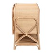 Pemberly Row Natural Rattan 2-Door Storage Cabinet with 5 Shelves